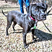 Thumbnail photo of Jett #2