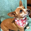 Thumbnail photo of Chiquita #2