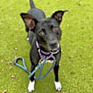 Thumbnail photo of Hydie #3