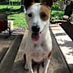 Thumbnail photo of Leia #1