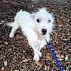 Thumbnail photo of Mokshi #2
