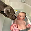 Thumbnail photo of Lainey #2