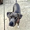 Thumbnail photo of Lainey #4