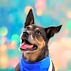 Thumbnail photo of Tinka JuM* #2