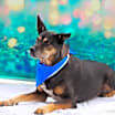 Thumbnail photo of Tinka JuM* #3