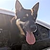 Thumbnail photo of Clark #4