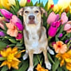 Thumbnail photo of Delilah #1