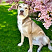 Thumbnail photo of Delilah #2