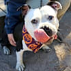 Thumbnail photo of Bubbles #4