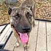 Thumbnail photo of Ella Rae #3