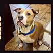 Thumbnail photo of LEELO #1