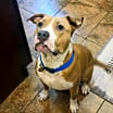 Thumbnail photo of LEELO #2