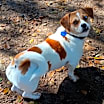 Thumbnail photo of Nina from TEXAS #4