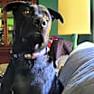 Thumbnail photo of Justice #2