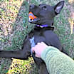 Thumbnail photo of Justice #4