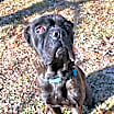Thumbnail photo of Candy #2