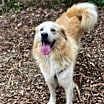 Thumbnail photo of Wally #2