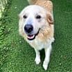 Thumbnail photo of Wally #3