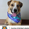 Thumbnail photo of Aldridge ** D8986 (Sponsored) #1
