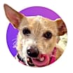 Thumbnail photo of Lacey #1