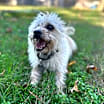 Thumbnail photo of Mylo Eli #3