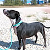 Thumbnail photo of Waverly #3