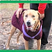 Thumbnail photo of Grace #1
