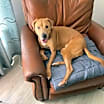 Thumbnail photo of Grace #2