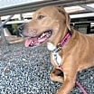 Thumbnail photo of Grace #3