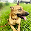 Thumbnail photo of Isadora #2