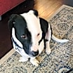 Thumbnail photo of Oscar #4
