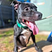 Thumbnail photo of Princess Mya #2