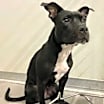 Thumbnail photo of Princess Mya #3