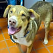 Thumbnail photo of Sanders #2