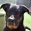 Thumbnail photo of Duke #3