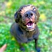 Thumbnail photo of Maeve #2