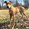 Thumbnail photo of Posey #3