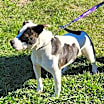 Thumbnail photo of Henrietta #2