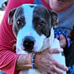 Thumbnail photo of Henrietta #3
