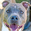 Thumbnail photo of Duce #2