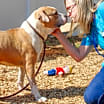 Thumbnail photo of Keyshawn- IN FOSTER #3