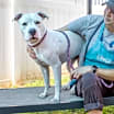 Thumbnail photo of Jerome Jefferson - IN FOSTER #2