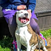 Thumbnail photo of Marvian- IN FOSTER #3