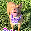 Thumbnail photo of Suki #2