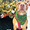 Thumbnail photo of Suki #3