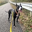 Thumbnail photo of Darla #3