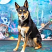 Thumbnail photo of Kurama #2