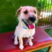 Thumbnail photo of Alfred #2