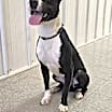 Thumbnail photo of Leroy #2