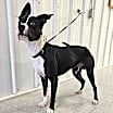 Thumbnail photo of Leroy #3